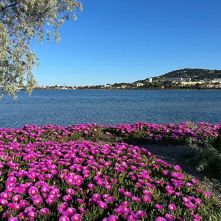 Apartment - Coeur De Et Proximite Canaux , Plein Soleil, Vue St Clair *