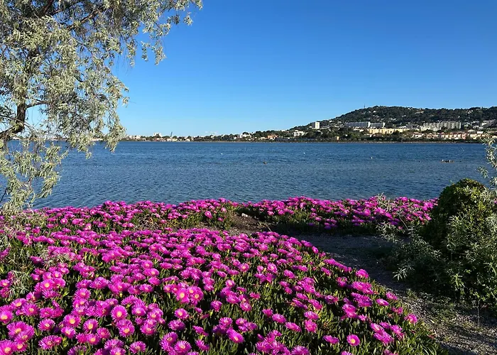 Lägenhet - Coeur De Et Proximite Canaux , Plein Soleil, Vue St Clair *